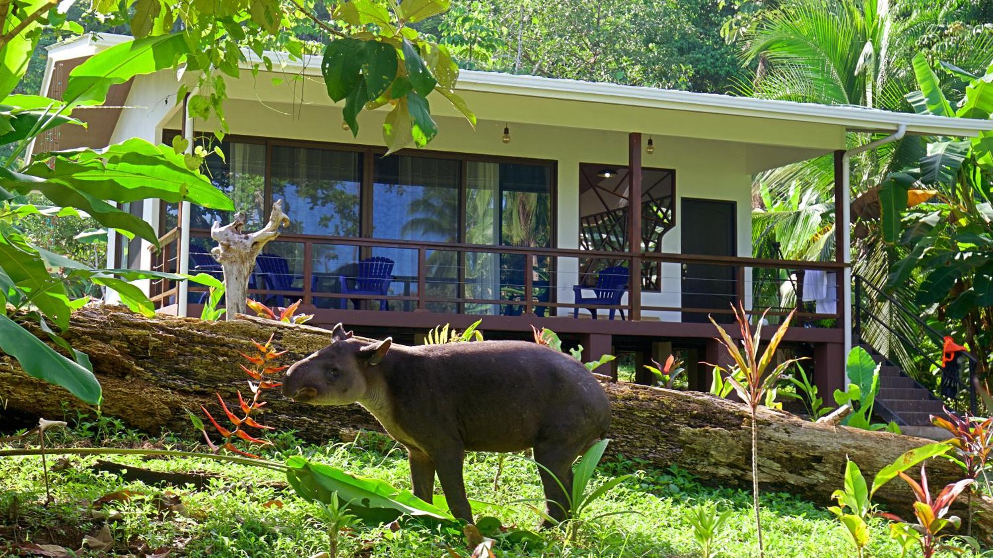 Eden Corcovado Villa San Pedrillo Buitenkant foto