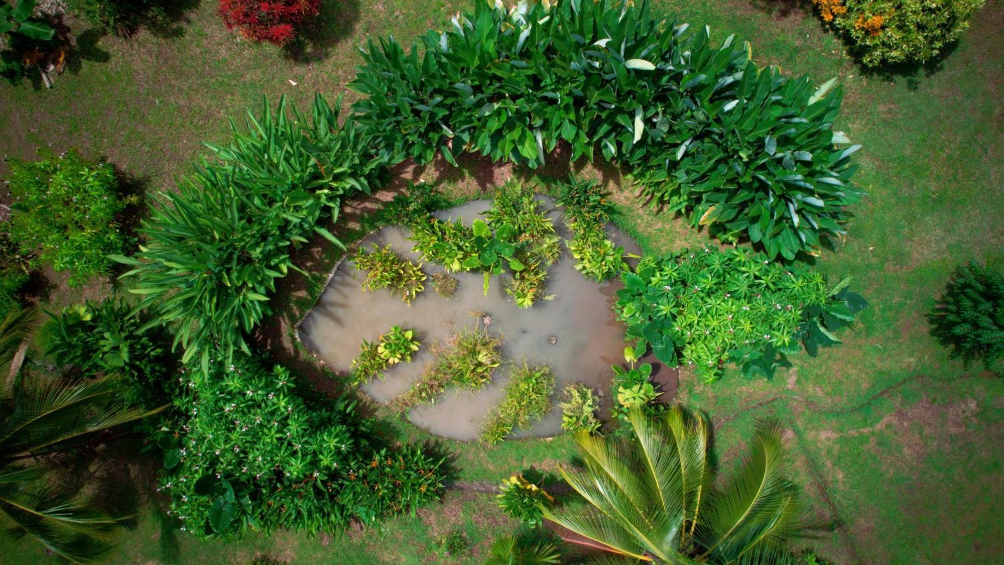 Eden Corcovado Villa San Pedrillo Buitenkant foto